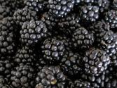 How To Buy Blackberry 